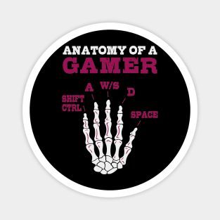 Anatomy Of A Gamer Magnet